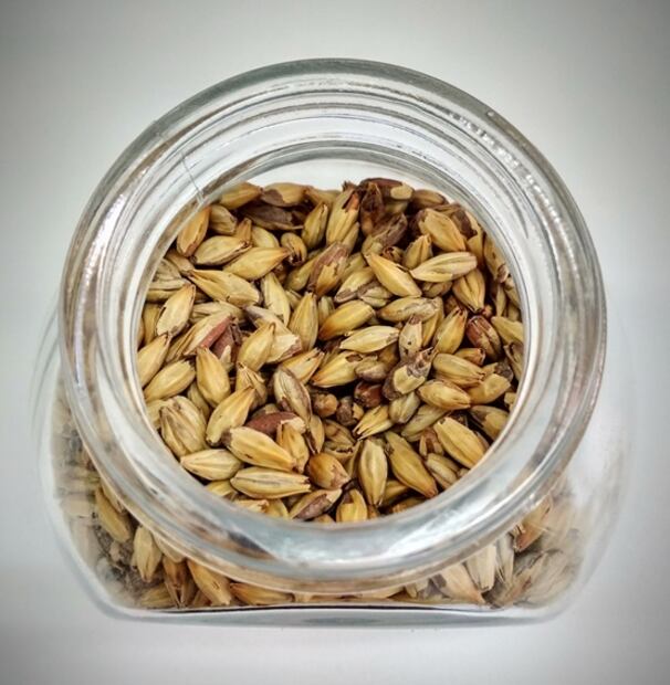 Prepara tu propia cerveza artesanal en casa