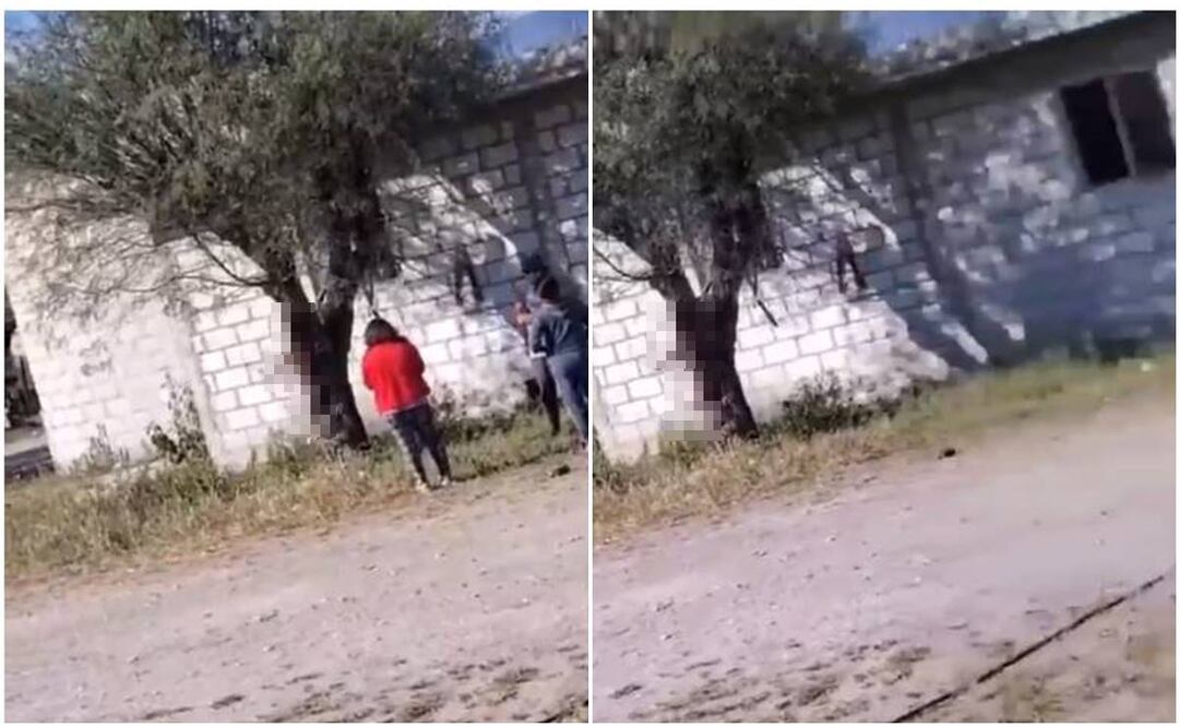 Las personas involucradas justificaron que el can era agresivo / Captura de pantalla