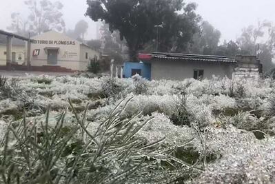 Hidalgo suspende clases en todos los niveles educativos por bajas temperaturas