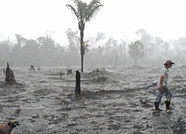 El otro incendio que inició Bolsonaro
