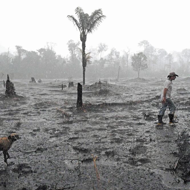 Un granjero de Helio Lombardo Do Santos camina cerca del área afectada por los incendios en la Amazonia, en Porto Velho, en el estado de Rondonia. CARL DE SOUZA. AFP