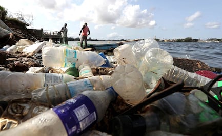 25 defensores del medio ambiente fueron asesinados en México en 2024: Cemda; señala al Estado como principal agresor