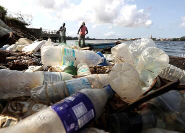 25 defensores del medio ambiente fueron asesinados en México en 2024: Cemda; señala al Estado como principal agresor