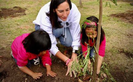 Álvaro Obregón rebasa la meta de árboles reforestados de este año