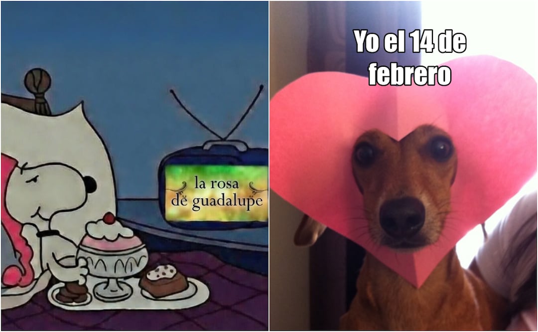Encuentra los mejores memes para pasar este 14 de febrero. Foto: X