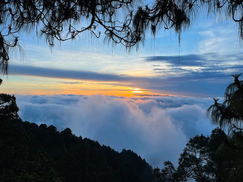 Entre montañas y neblina, esta tirolesa al sur de Oaxaca promete una vista espectacular desde las alturas. Foto: Cortesía Restaurante Itoo