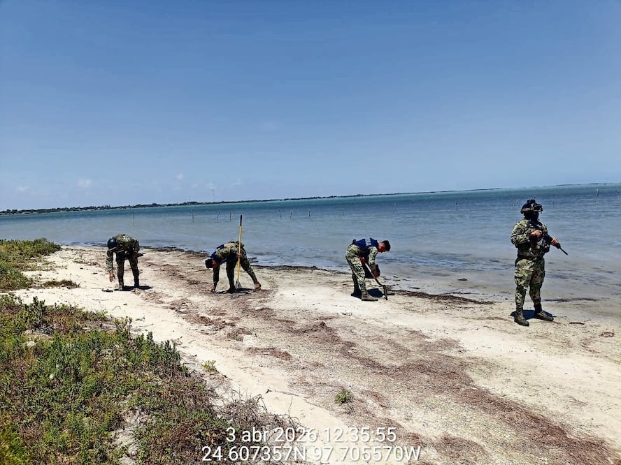 Imagen del 9 de abril en la que elementos de la Secretaría de Marina limpiaron las playas del golfo de México. Foto: Especial