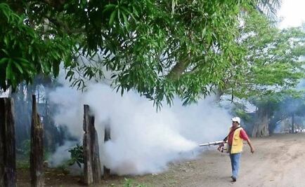 Pregnant women told to avoid countries with Zika outbreaks