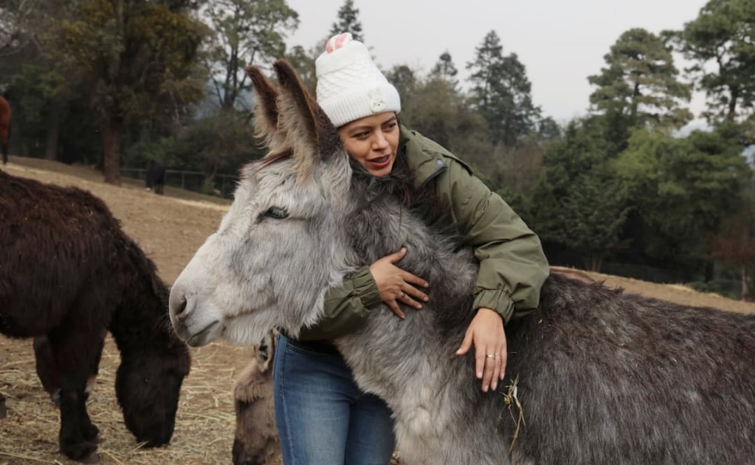 Elizabeth Soto, activista y directora del santuario Seres Libres, en el que rescata burros y caballos. Foto: Gabriel Pano/ EL UNIVERSAL