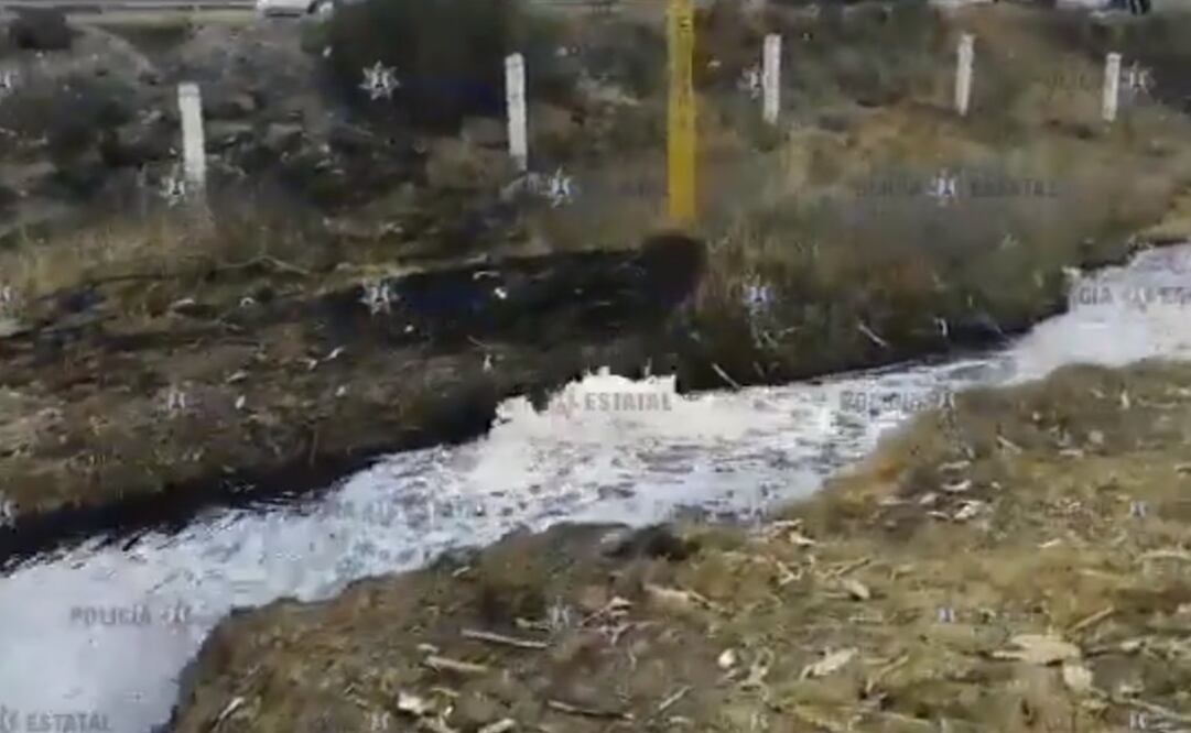 Foto: Captura de video