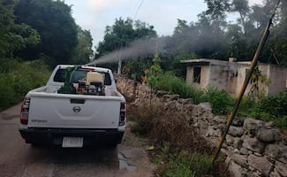 Disminuyen casos de dengue en Yucatán al cierre de 2025; reportan retroceso de 54% frente a 2024