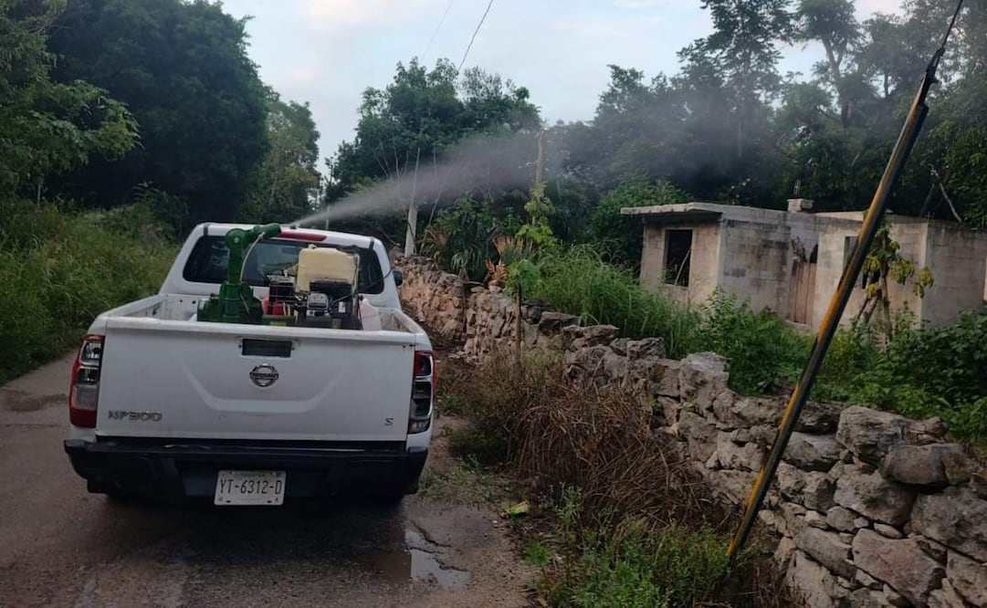 Disminuyen casos de dengue en Yucatán al cierre de 2025; reportan retroceso frente a 2024.
Foto:Especial.