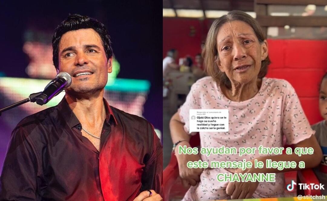 La abuelita aprovechó para piropear a Chayanne. Foto: TikTok @stitchsh