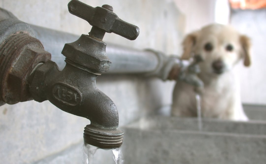 Mexico’s National Water Commission has registered 653 aquifers, out of which 115 are being over-exploited - Photo: Mario Mejía/EL UNIVERSAL