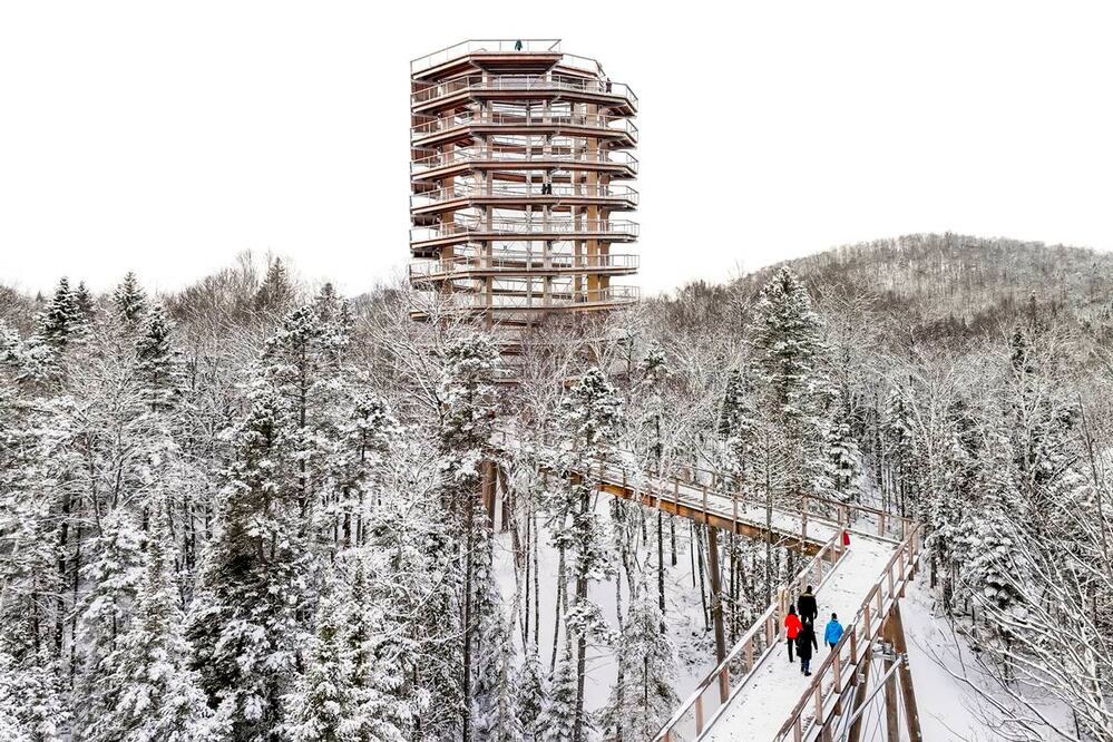 Tour panorámico Sentier des Cimes en Las Laurentides. Foto: Santier des Cimes