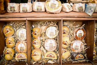 Mexico pressured to stop using European cheese names