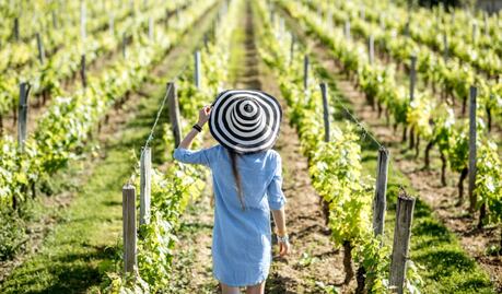 5 destinos en México que celebran las Fiestas de la Vendimia