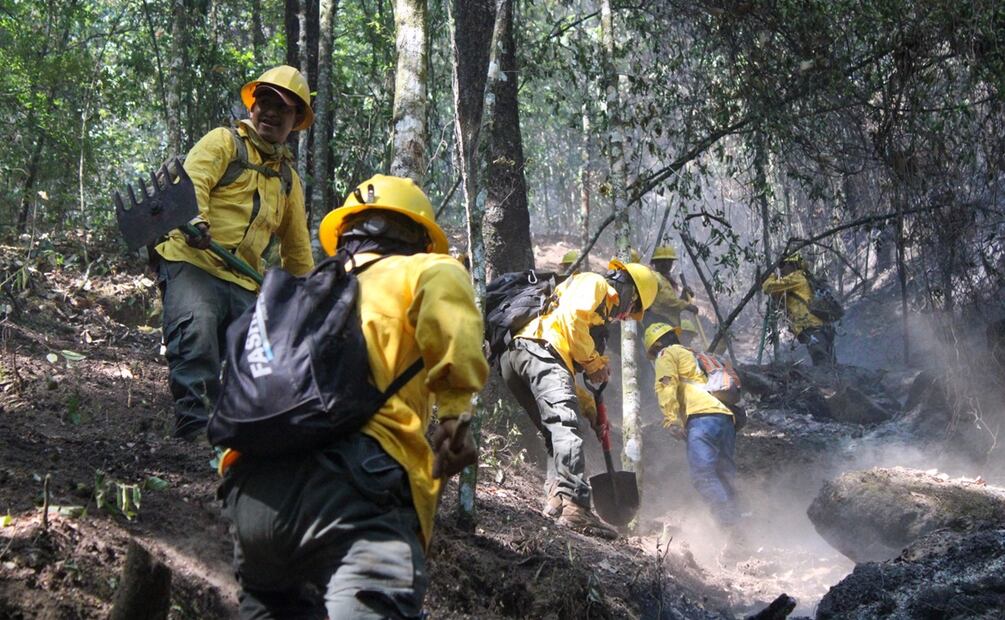 La tarde del viernes pasado se reportó que se había iniciado un incendio forestal. Foto: Especial