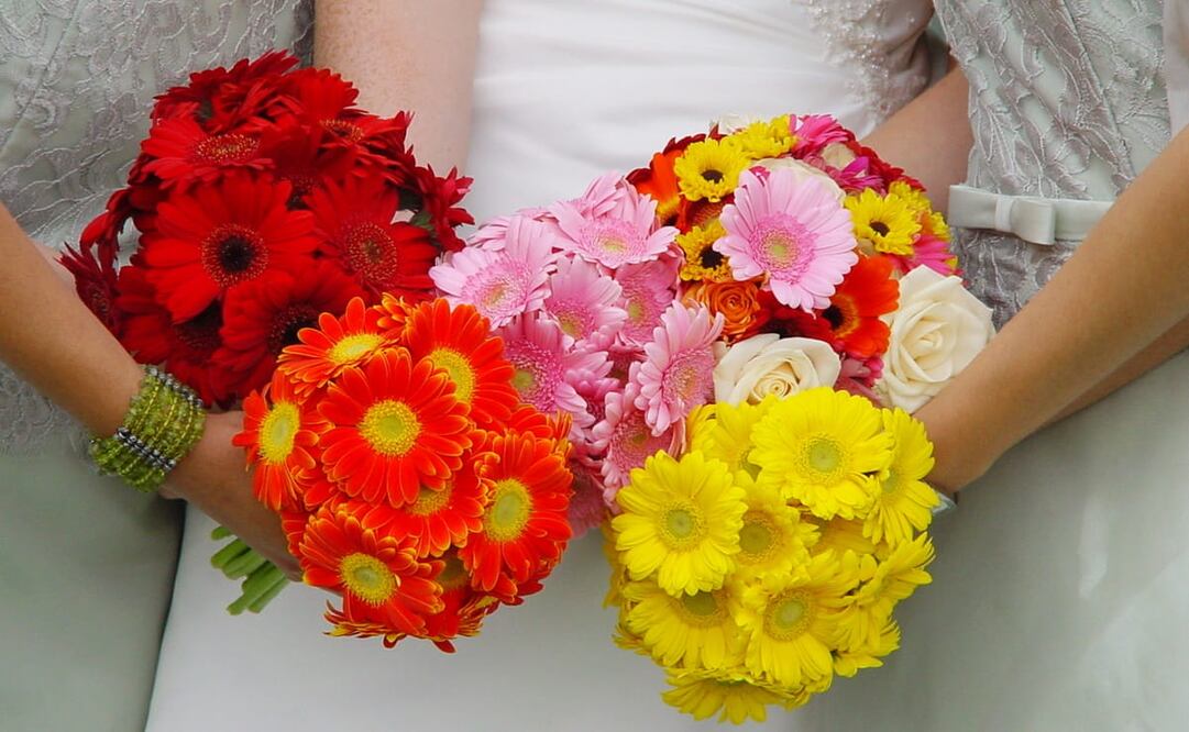 De acuerdo con el Informe Global de Bodas 2023 –de Bodas.com.mx–, las uniones matrimoniales en México se preparan con ocho a 10 meses de anticipación, y se gastan 150 mil pesos, en promedio. Pero, a pesar de la anticipada planificación y considerable presupuesto, la ornamenta floral no es un punto relevante para los matrimonios. Foto: Wikimedia Commons.