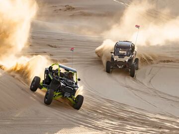 Cuánto cuesta un RZR y qué potencia tiene