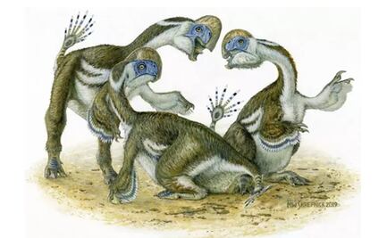 Hallan nueva especie de dinosaurio: tenía dos dedos y parecía un loro gigante