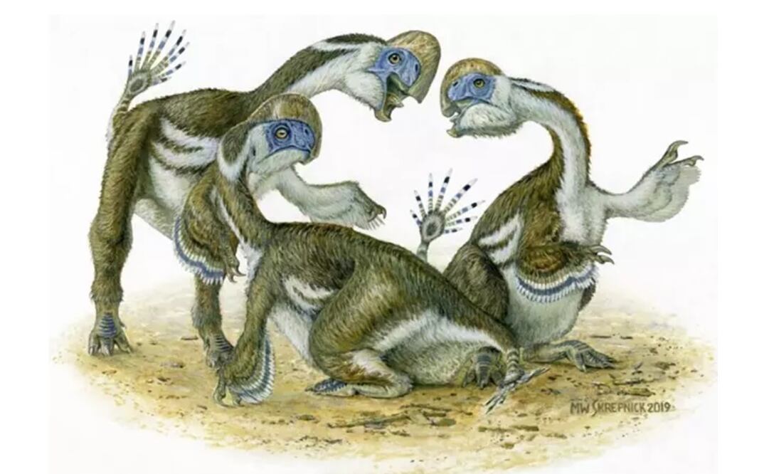 Foto: MICHAEL W. SKREPNICK vía Europa Press