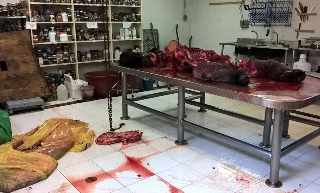 (Foto: Archivo/El Gráfico)