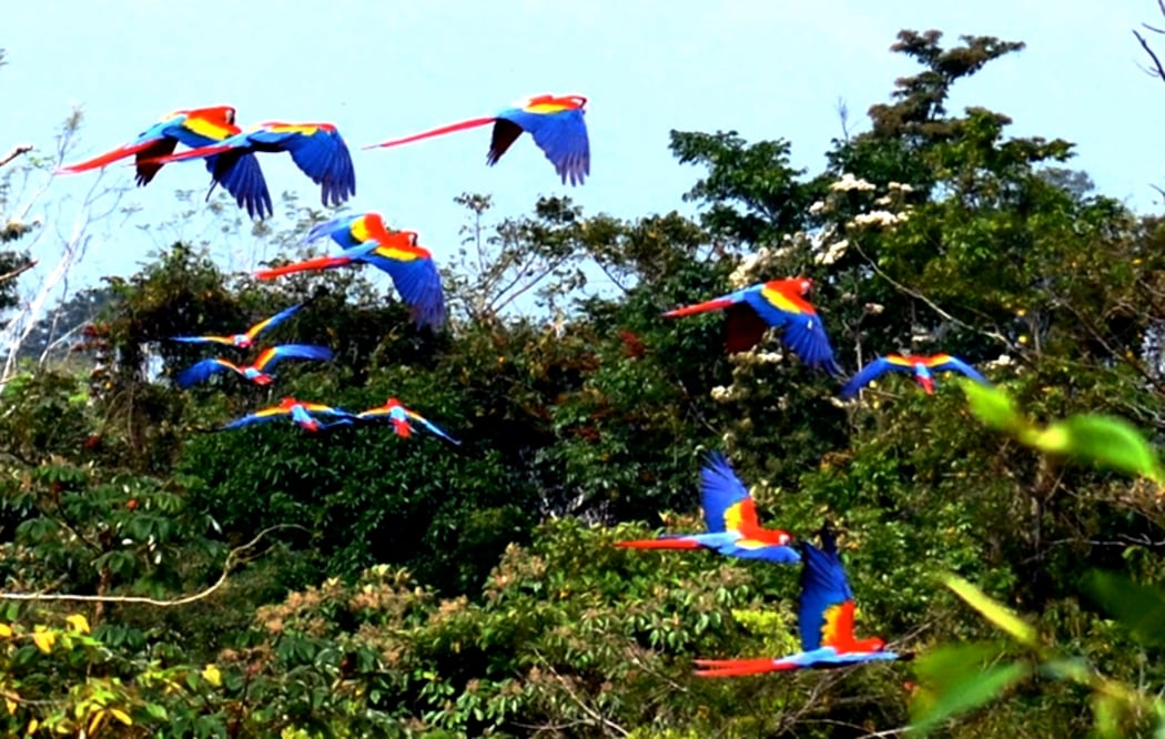 Foto: Archivo/EL UNIVERSAL