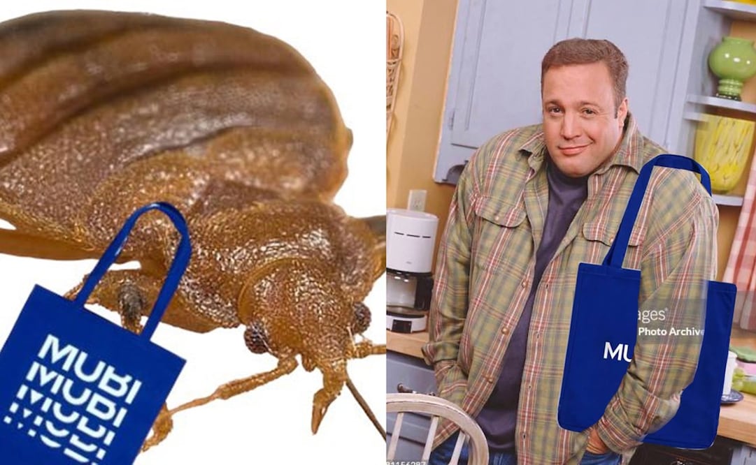 El MUBI Fest es un evento dirigido para los amantes del cine. Foto: Twitter