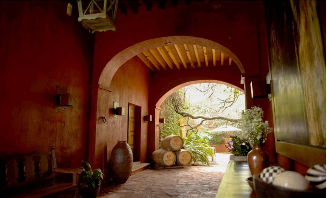 First "wine park" opens in Querétaro