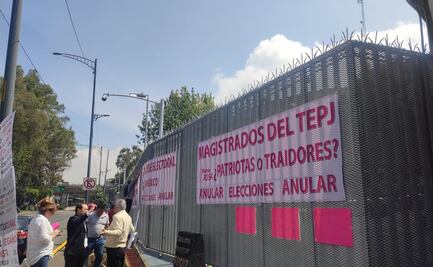 Marea Rosa protesta en el Tribunal Electoral, previo a calificación de elección presidencial