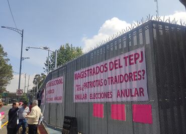 Marea Rosa protesta en el Tribunal Electoral, previo a calificación de elección presidencial