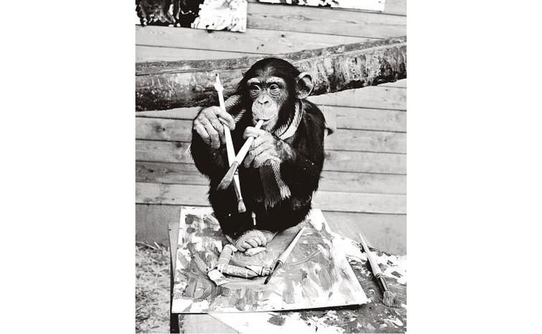 Un aclamado pintor resultó ser un chimpancé, pero no fue el único animal envuelto en estas farsas.