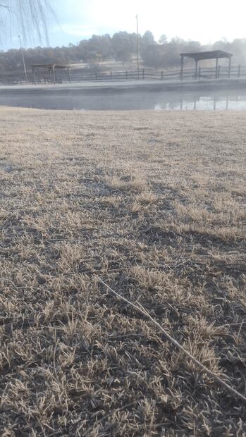 FOTOS: Con temperaturas de hasta menos 6 grados municipios de la sierra alta de Sonora amanecen escarchados