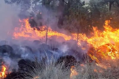 Pico de Orizaba: Gobernador de Puebla supervisa trabajos para sofocar incendio forestal 