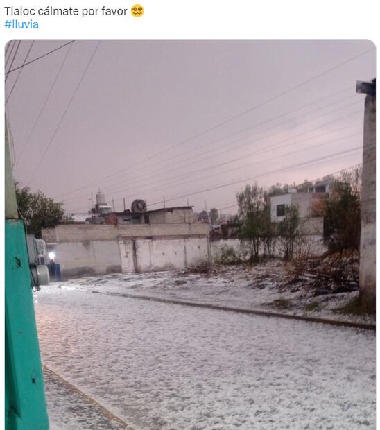 Captura vía Twitter.