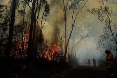 Australia intenta combatir más de 50 incendios forestales
