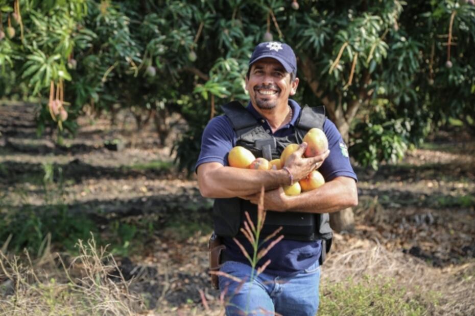 Michoacán, una comunidad en armas para plantar plátanos