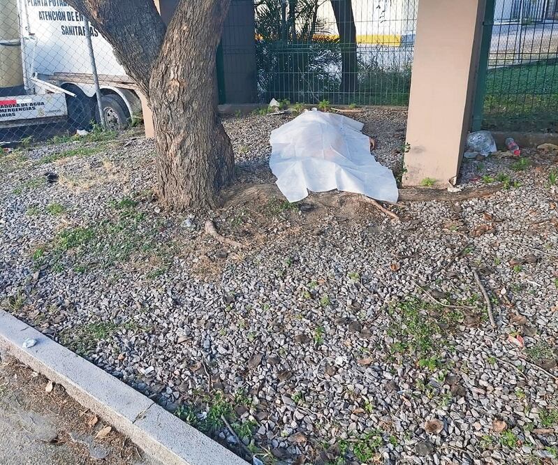 La mujer asesinada afuera del Semefo fue a reconocer a un familiar. Foto: Especial