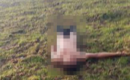 Apuñalan a joven y abandonan su cuerpo en terreno baldío de Tlalpan