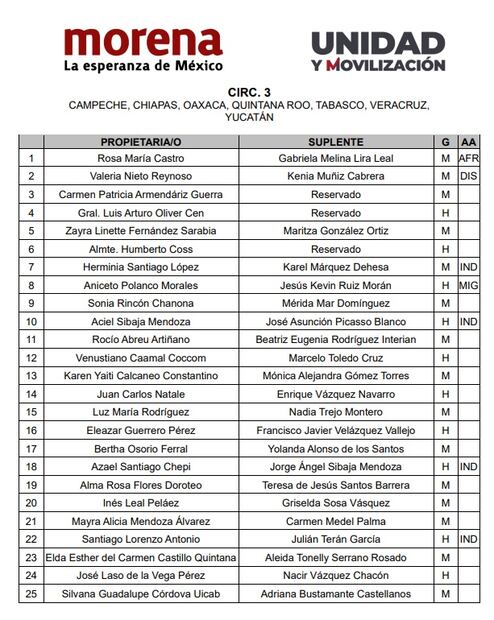 Perfiles de Morena para diputados, tercera circunscripción. Foto: Especial