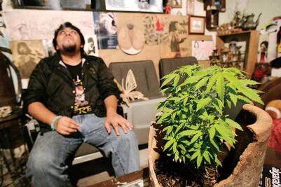 Divide a gobernadores legalizar marihuana
