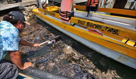 Líder del PRD en Tabasco lamenta desinterés de autoridades por derrame de hidrocarburo; Sheinbaum confirma trabajos de limpieza