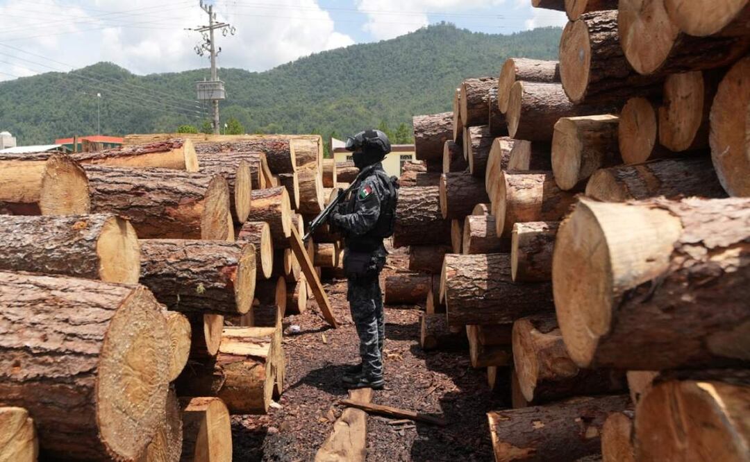 En el operativo para desarticular los 12 aserradores clandestinos en Chiapas, participaron autoridades del estado, así como elementos del ejército, GN y Profepa (23/05/2025). Foto: Facebook (Eduardo Ramírez)