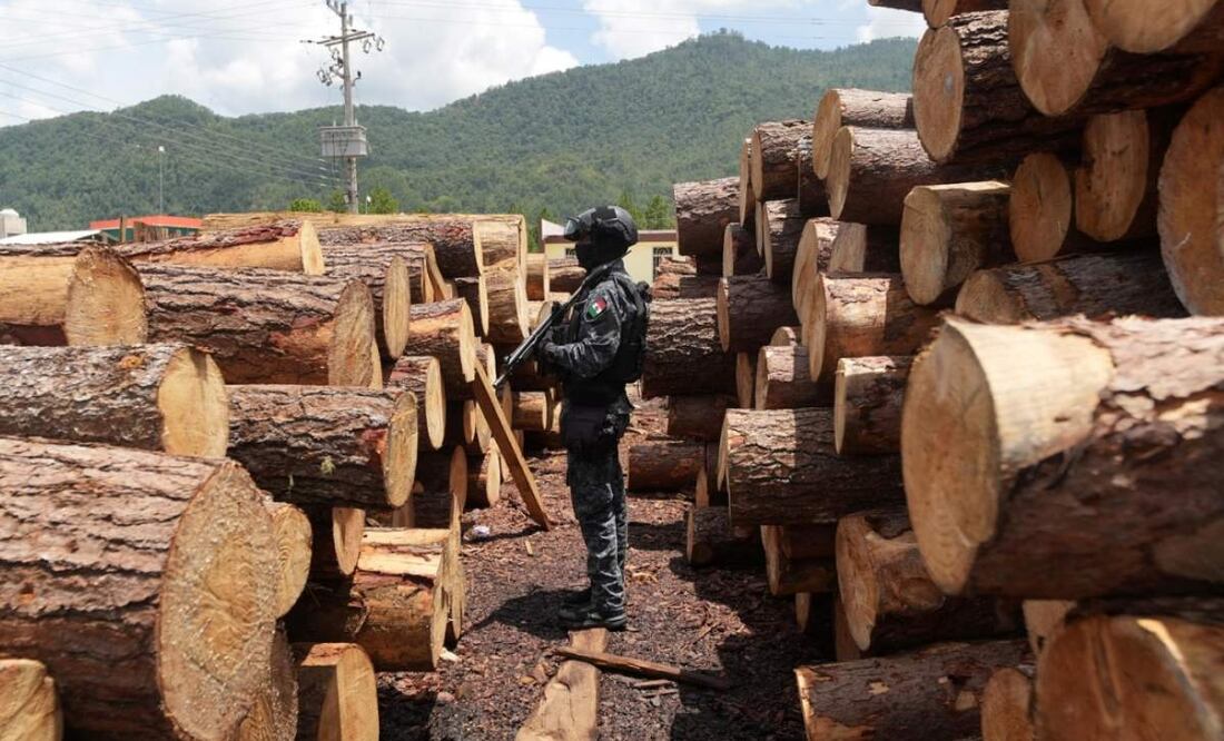 En el operativo para desarticular los 12 aserradores clandestinos en Chiapas, participaron autoridades del estado, así como elementos del ejército, GN y Profepa (23/05/2025). Foto: Facebook (Eduardo Ramírez)