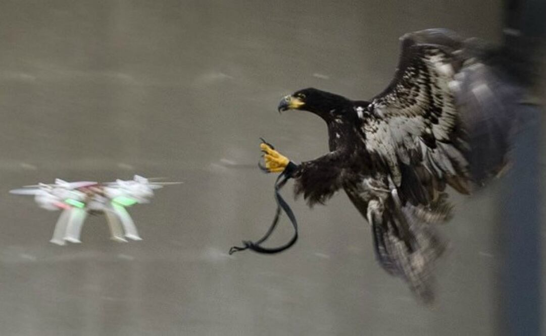 Durante los primeros cinco meses de 2015, ese ministerio registró nueve amagos en los que se trató de utilizar drones para infiltrarse en prisiones de Inglaterra