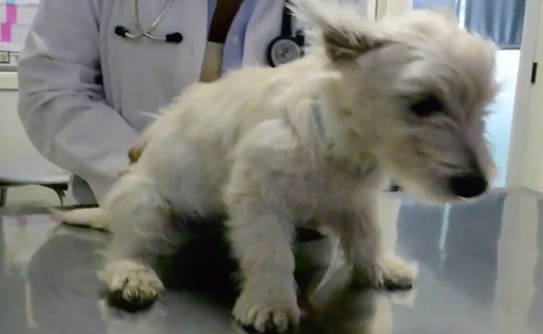 Archivo / EL UNIVERSAL