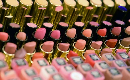 Aprueban en Comisiones del Senado prohibir pruebas de cosméticos en animales