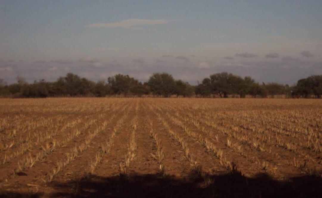 (Foto: Archivo EL UNIVERSAL)