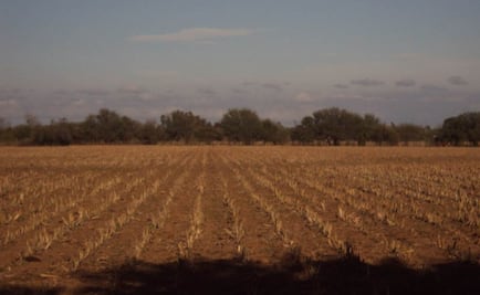 Guerrero pedirá declaratoria de desastre por sequía